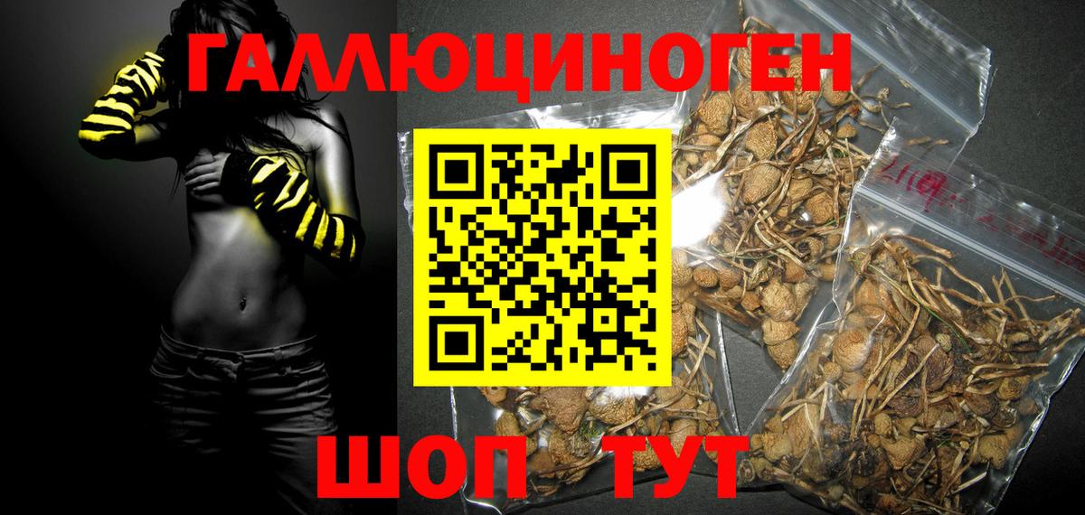Дедовск  Псилоцибиновые грибы MAGIC MUSHROOMS  Галлюциногенные грибы ЛСД  Вход с VPN 